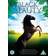 Black Beauty [DVD] [1994]
